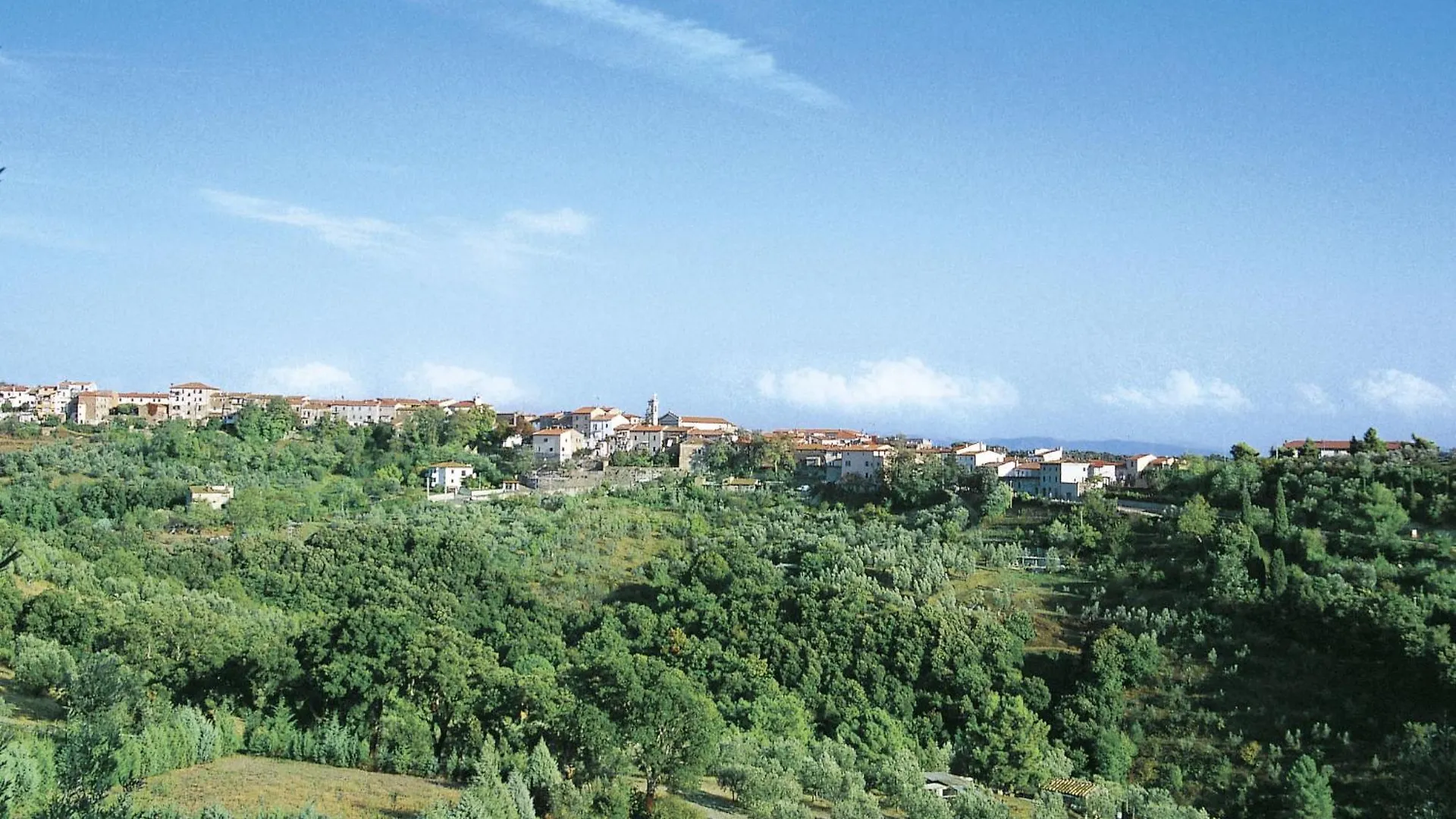 Apartment Gufo-31 By Interhome Podere Dottrina Italy